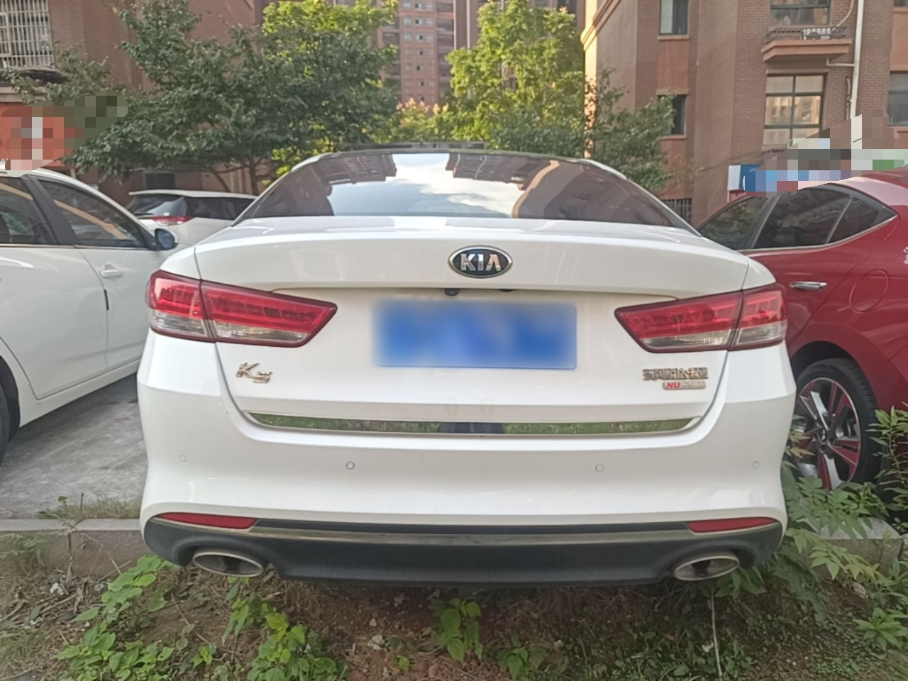 K5 2016 2.0L AT LUX photo 5