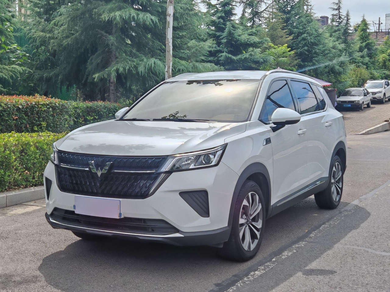 Wuling 2022 2.0L DHT