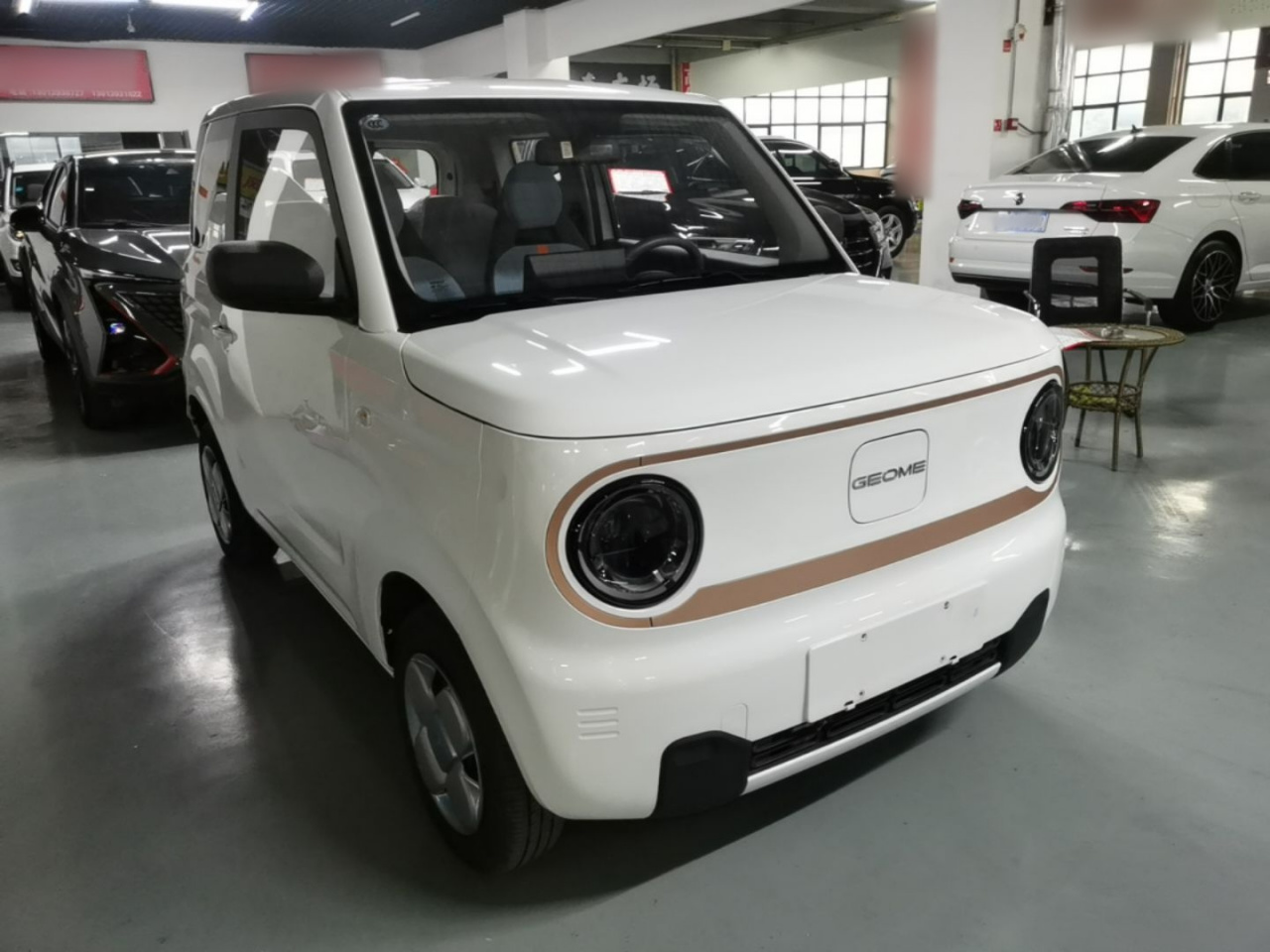 2024 Panda mini 200km Endurance Bear photo 3