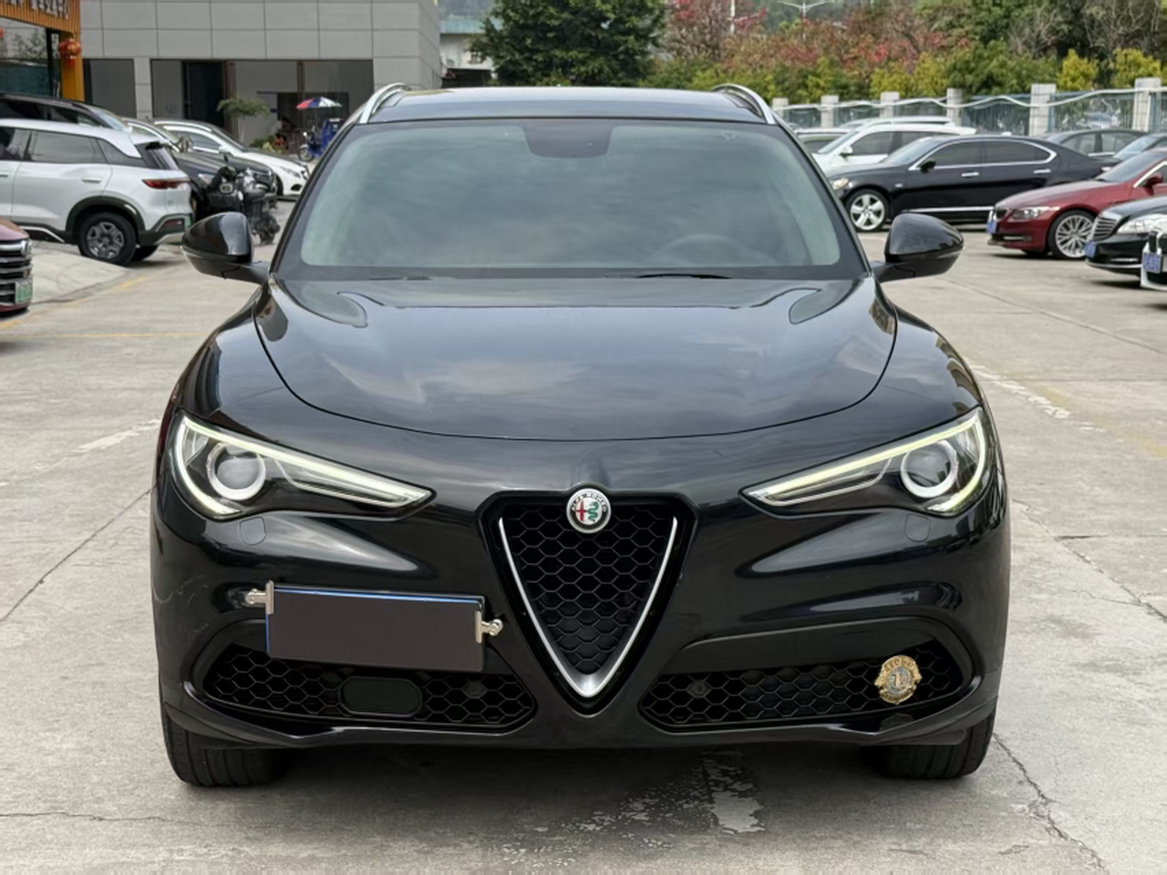 Alfa Romeo Stelvio 2017 2.0T 200HP Luxury photo 3