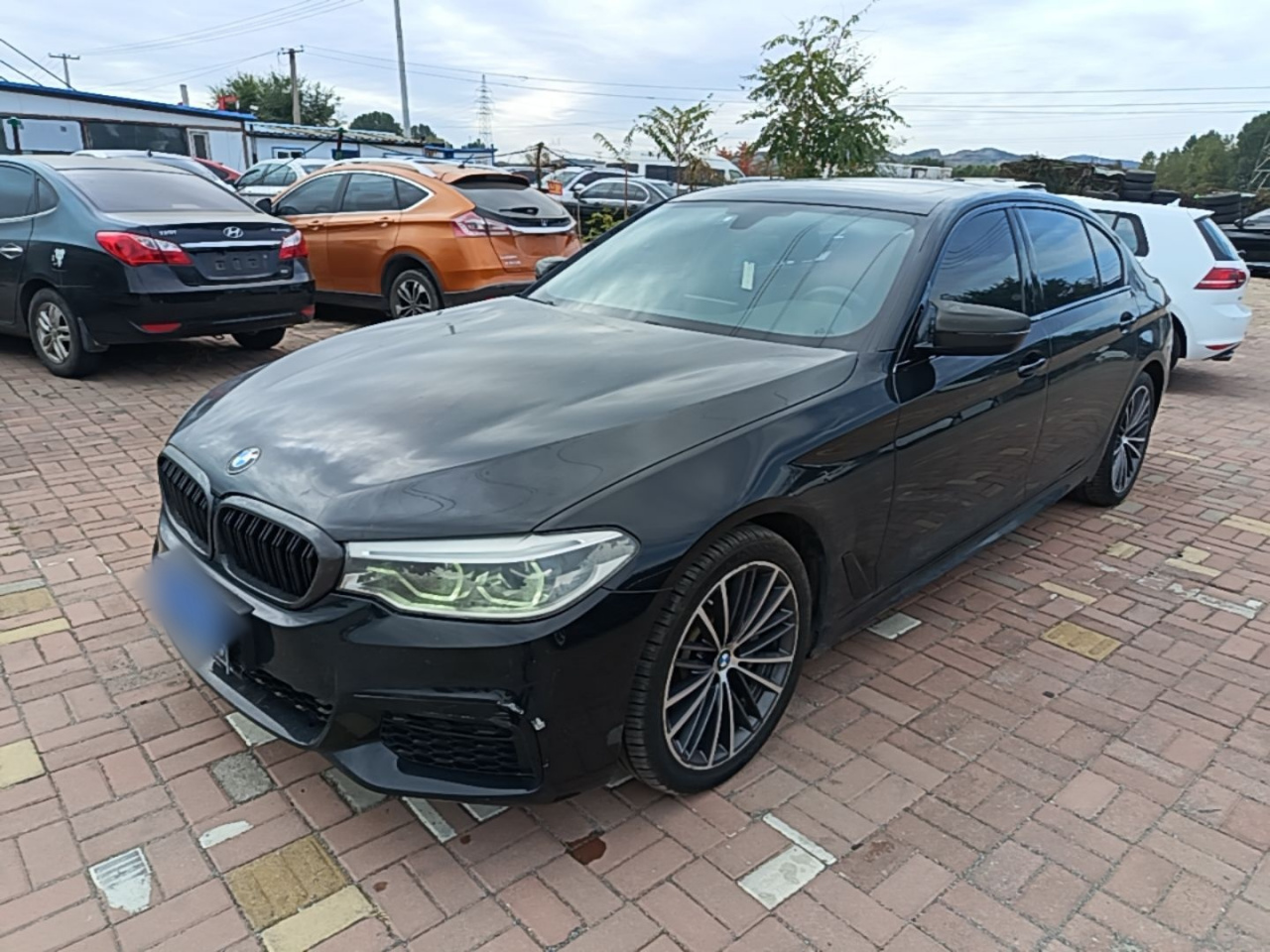 5 Series 2020 530Li Leading M Sport Package