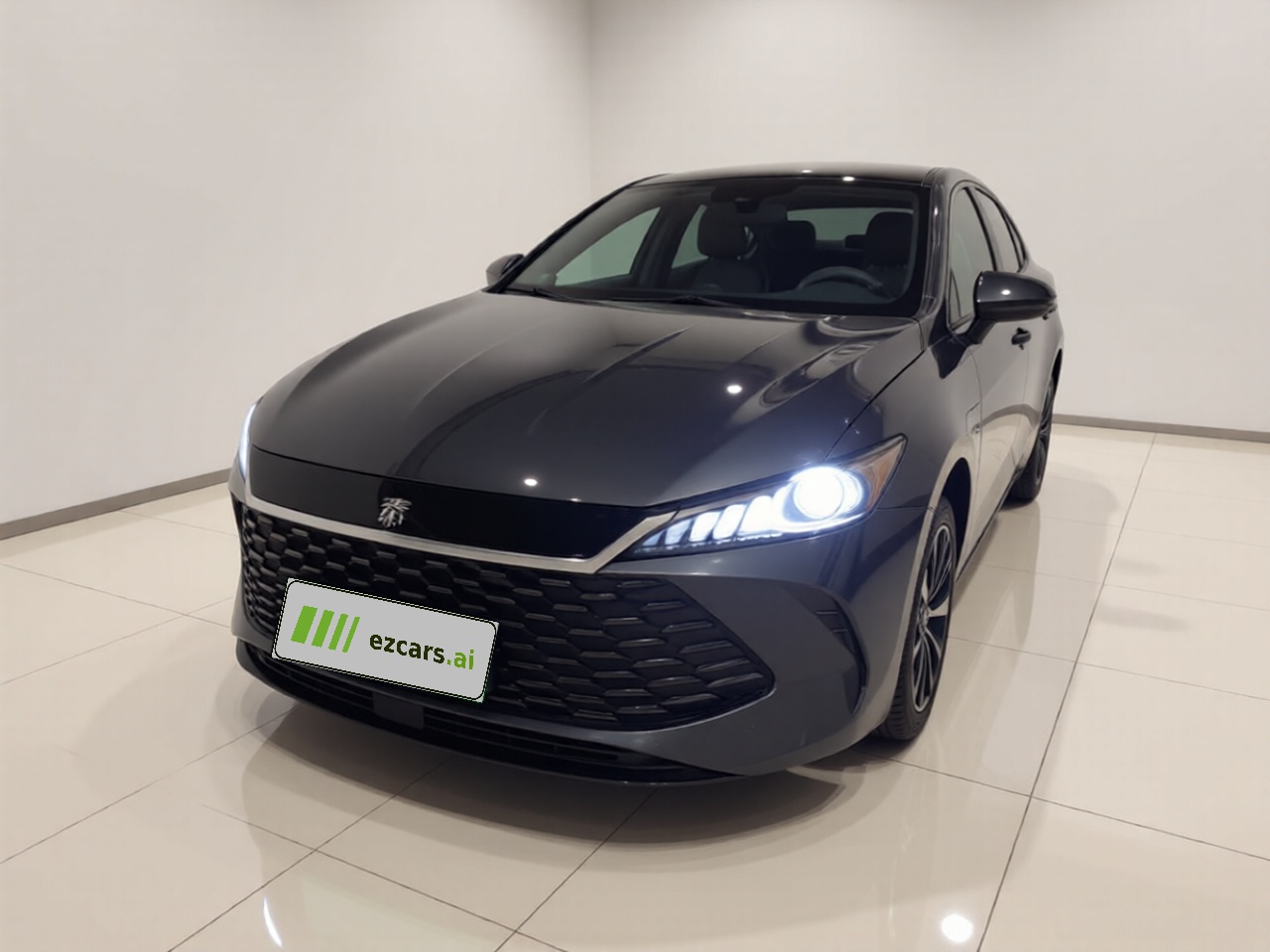 Qin PLUS 2025 DM-i ADAS 55KM Leading