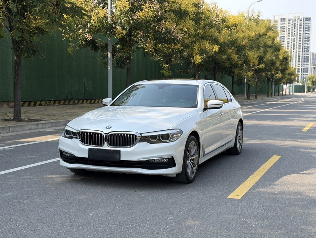 5 Series 2018 528Li Special