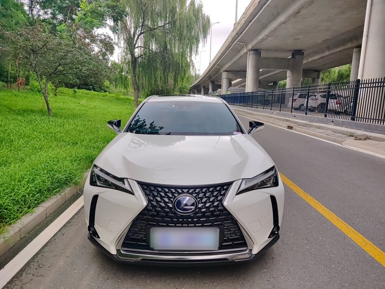 UX EV 2020 300e photo 3