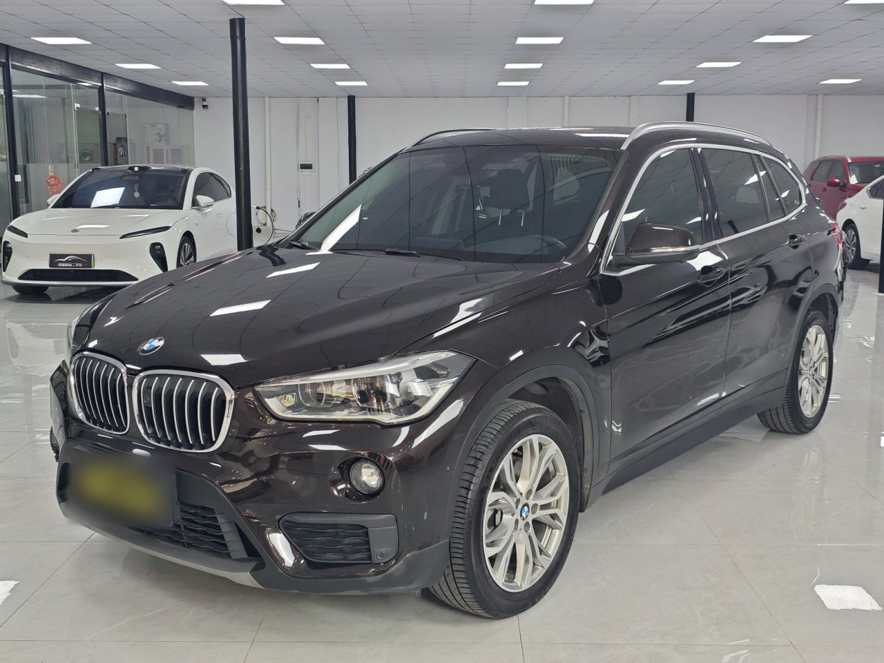 X1 2018 sDrive20Li Leading