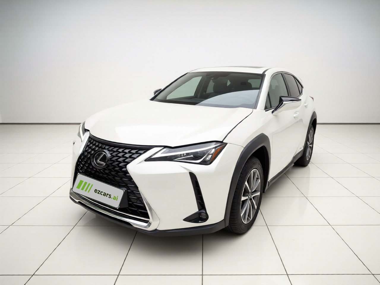 UX EV 2020 300e