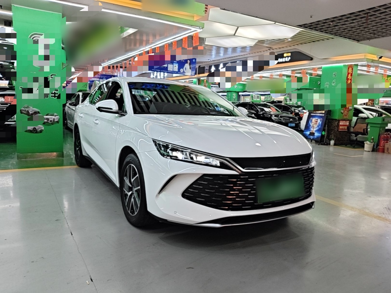 Qin L 2024 DM-i 120KM Leading photo 3