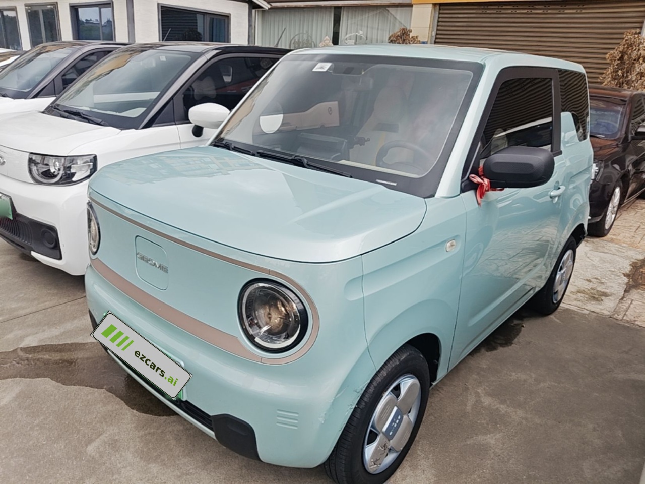 2023 Panda mini 200km Endurance Bear