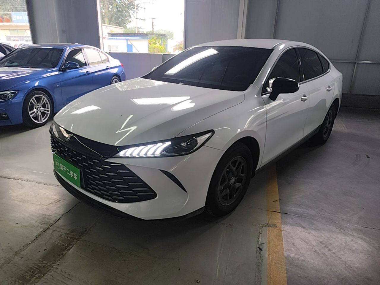 Qin PLUS 2025 DM-i ADAS 55KM Leading