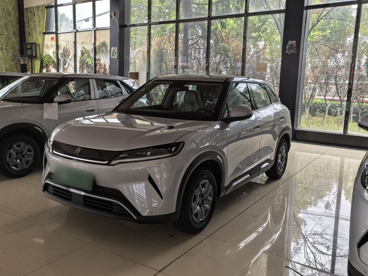 Yuan UP 2025 301KM Pilot