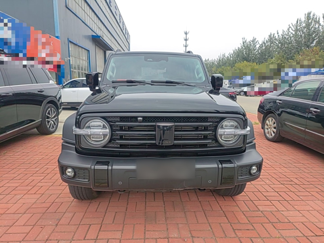 300 2021 Off-road 2.0T Conqueror photo 2