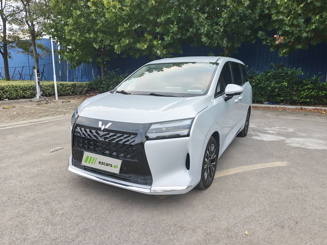 730 EV 2025 125km Luxury