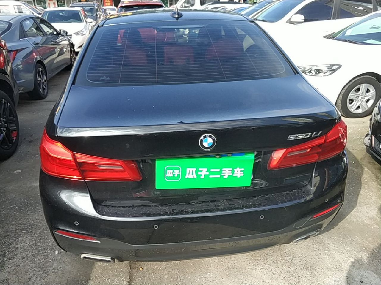 5 Series 2019 530Li Leading M Sport Package photo 5