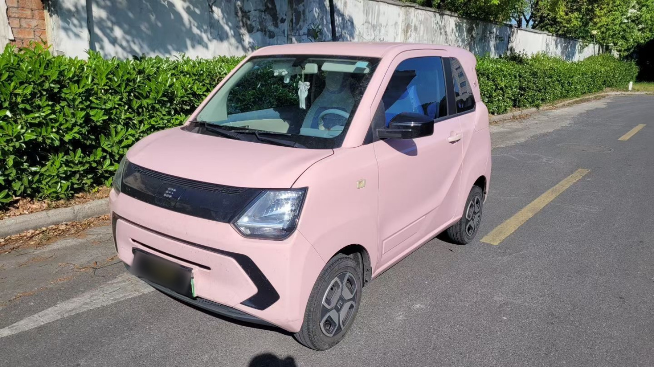 Fengon MINIEV 2022