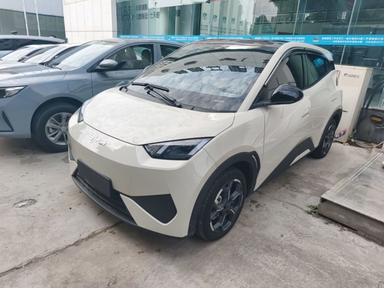 Seagull 2025 ADAS 405km