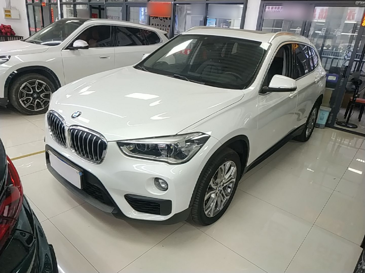 X1 2019 sDrive20Li Leading
