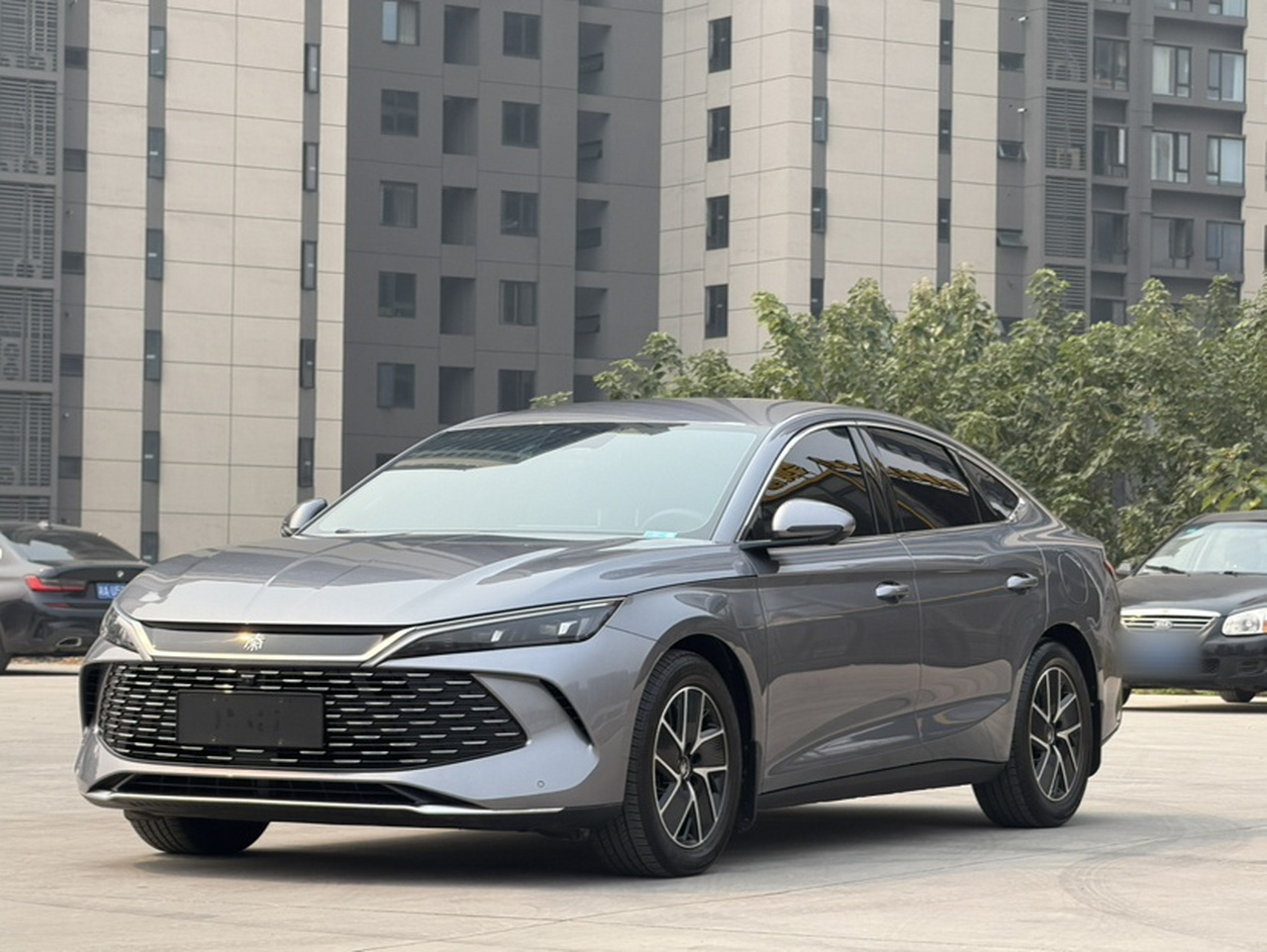 Qin L 2024 DM-i 80KM