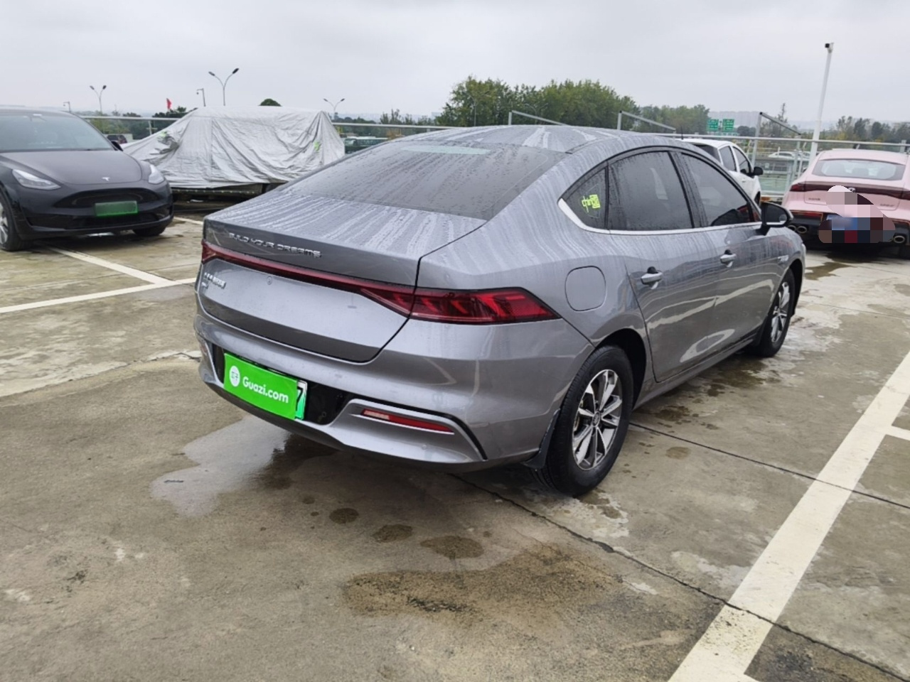 Qin PLUS 2023 Champion DM-i 55KM Leading photo 4