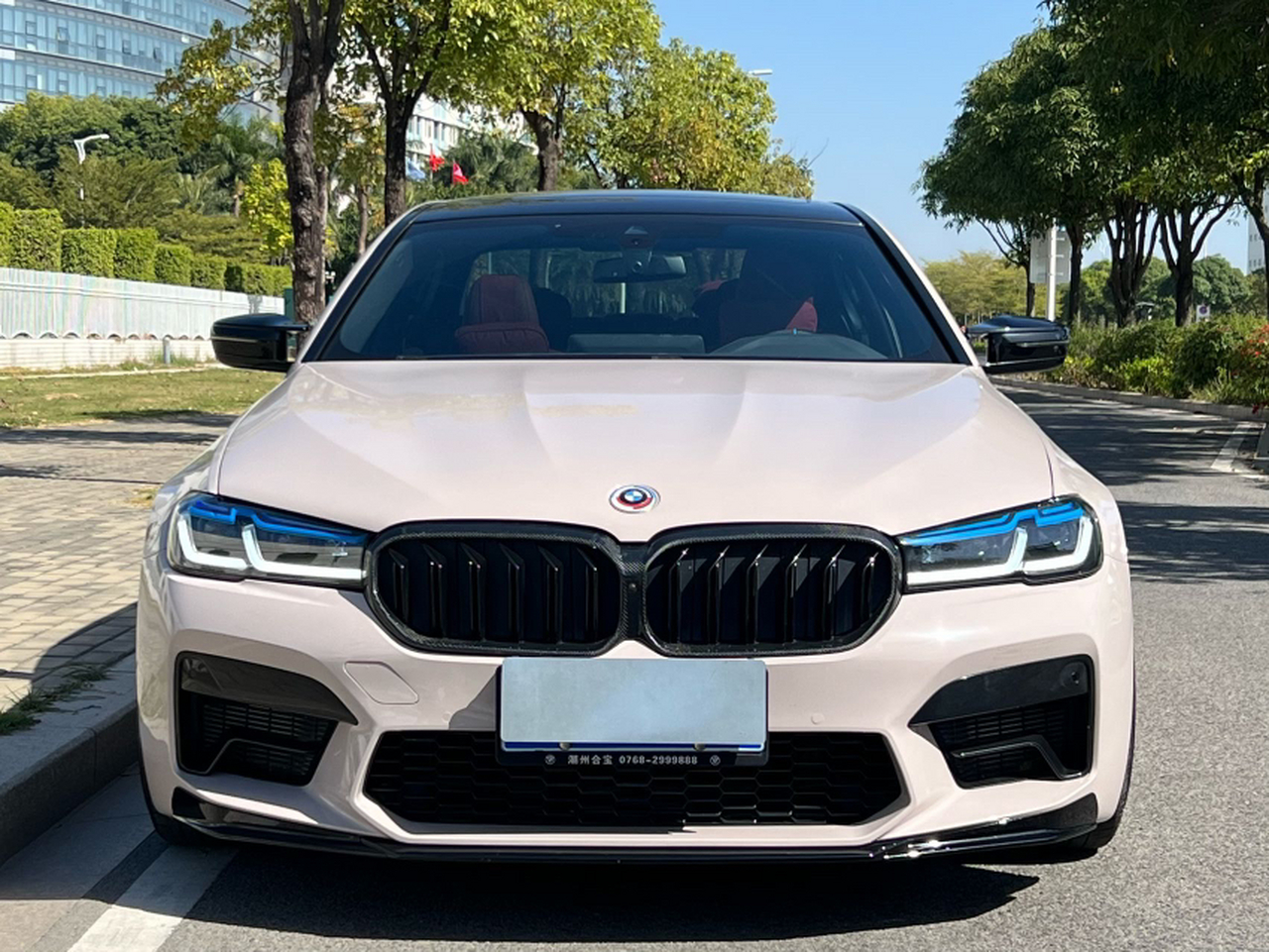 5 Series 2021 530Li Leading M Sport Package photo 4