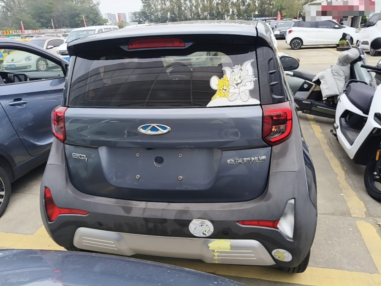 QQ Little Ant 2021 15 LFP photo 5