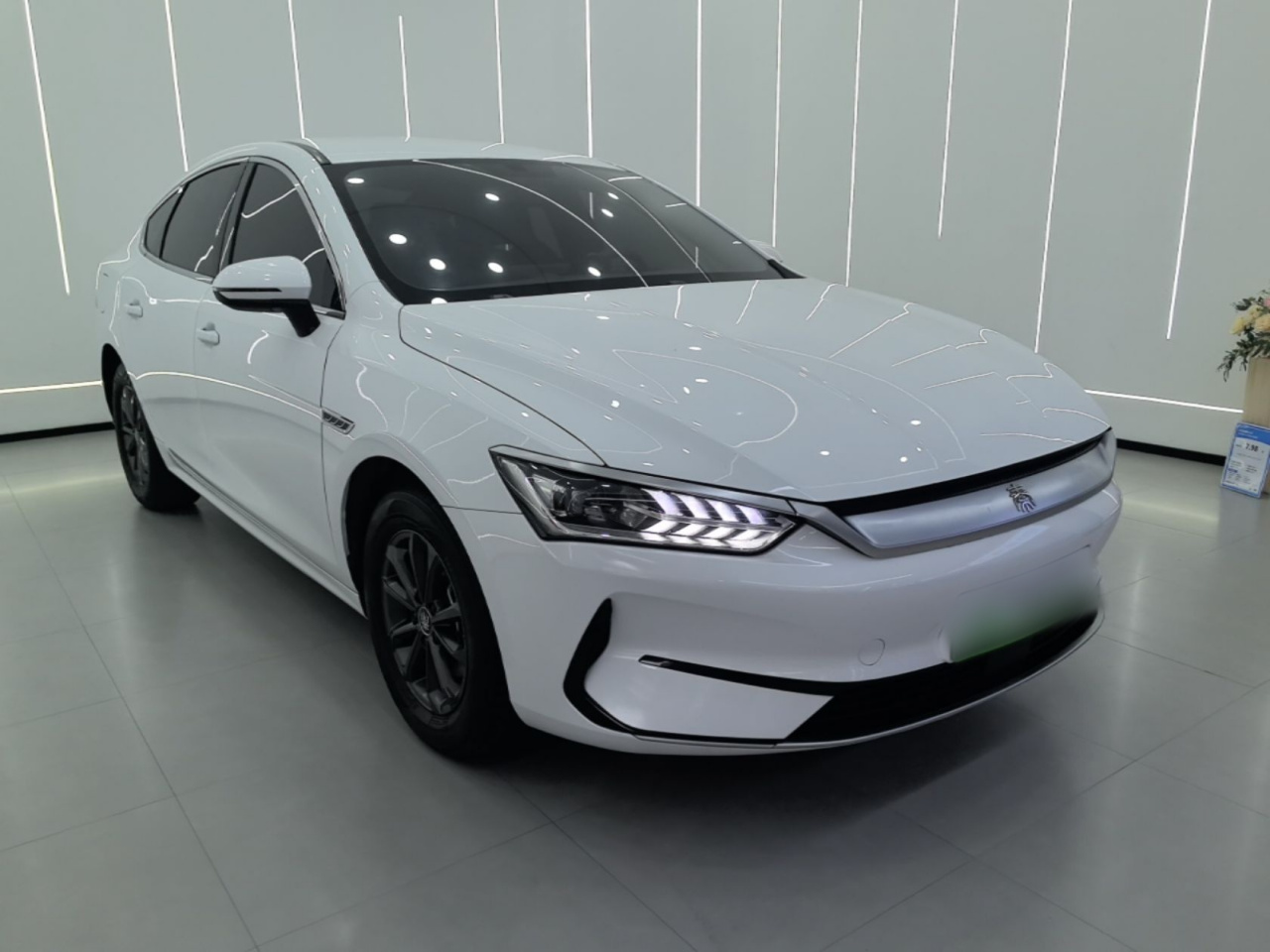 Qin PLUS 2023 EV 510KM photo 3