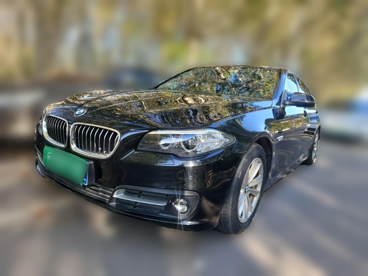 5 Series 2014 520Li