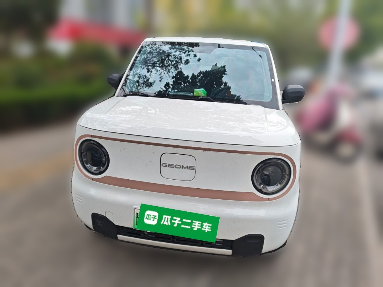 2024 Panda mini 200km Endurance Bear photo 2