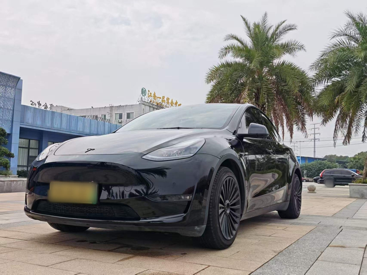 Model Y 2021 Standard Range RWD