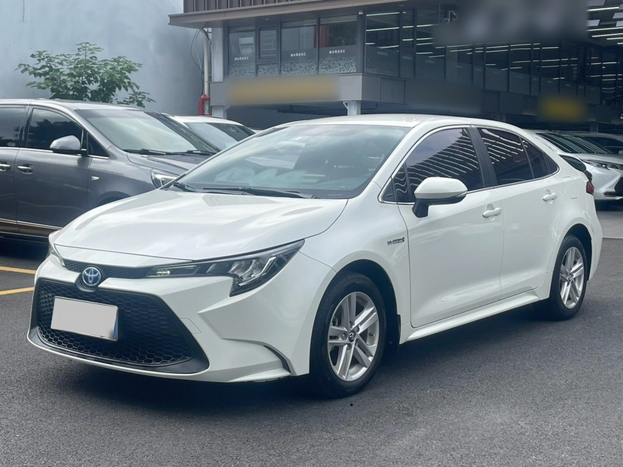 Levin 2019 Hybrid 1.8H E-CVT Progressive China VI