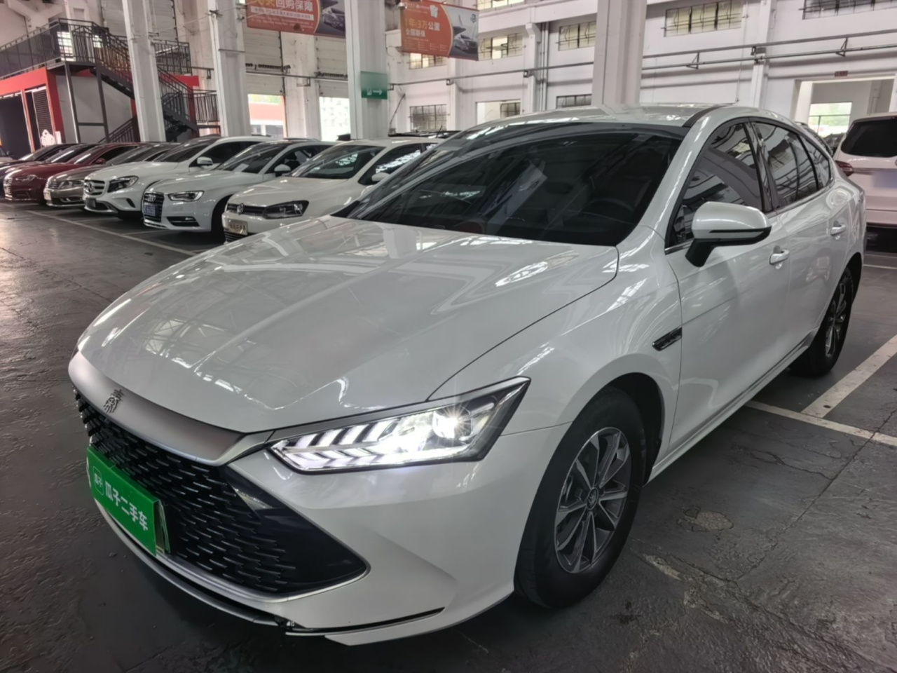 Qin PLUS 2024 Honor DM-i 55KM Leading