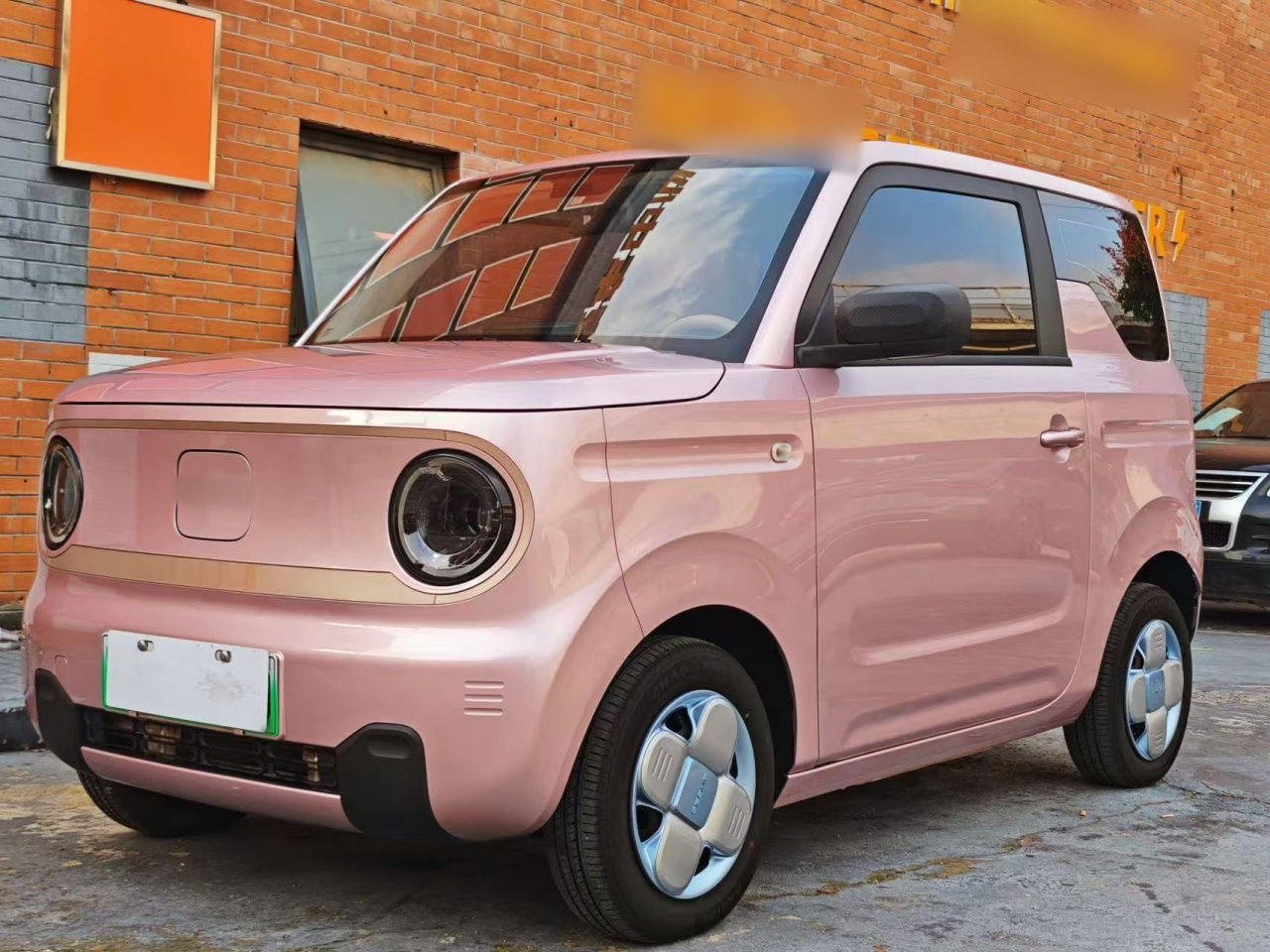 2023 Panda mini 200km Endurance Bear