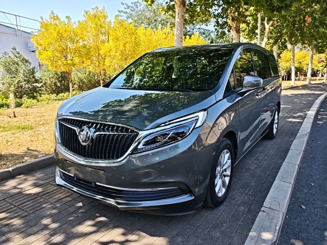 GL8 2017 ES 28T Exclusive China V