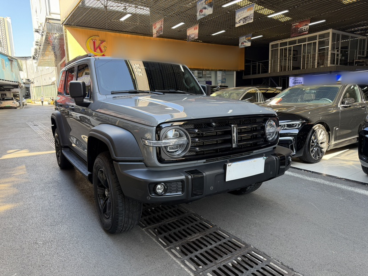 300 2021 Off-road 2.0T photo 3