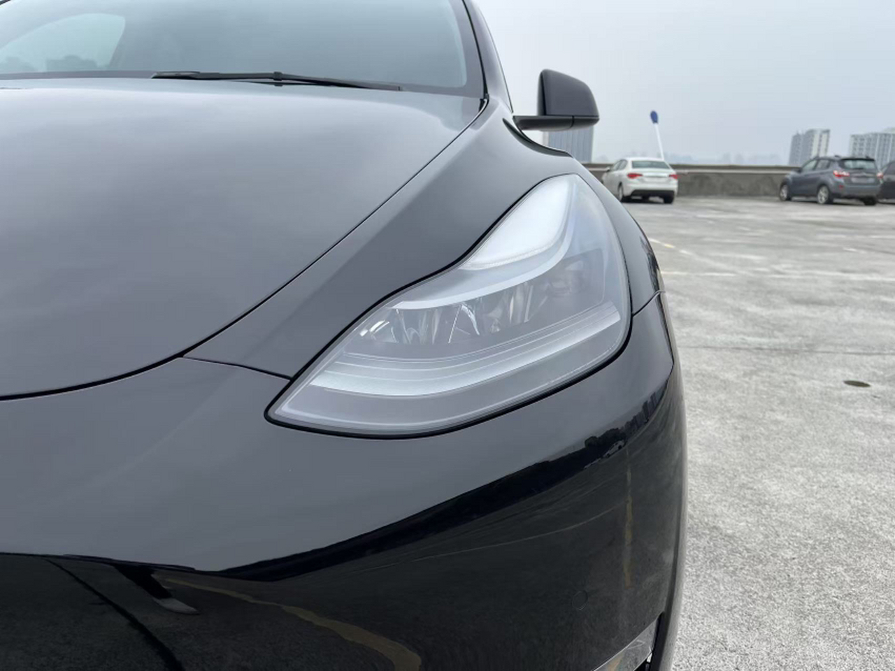 Model Y 2021 Long Range AWD photo 3