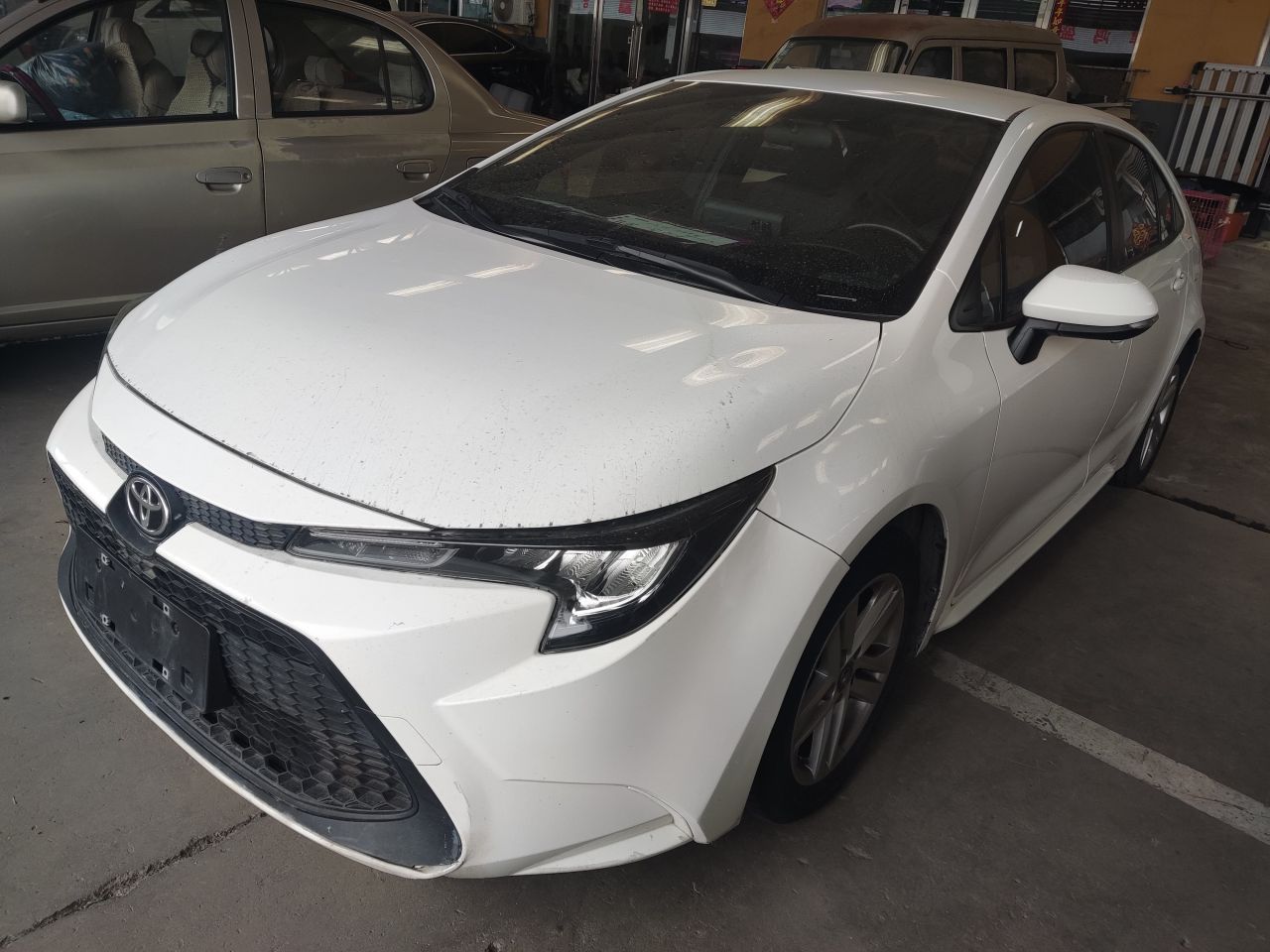 Levin 2022 TNGA 1.5L CVT Progressive