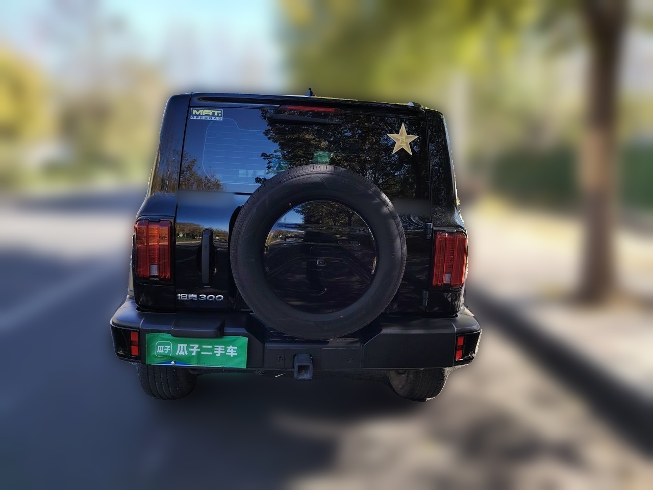 300 2024 2.0T Conqueror photo 5