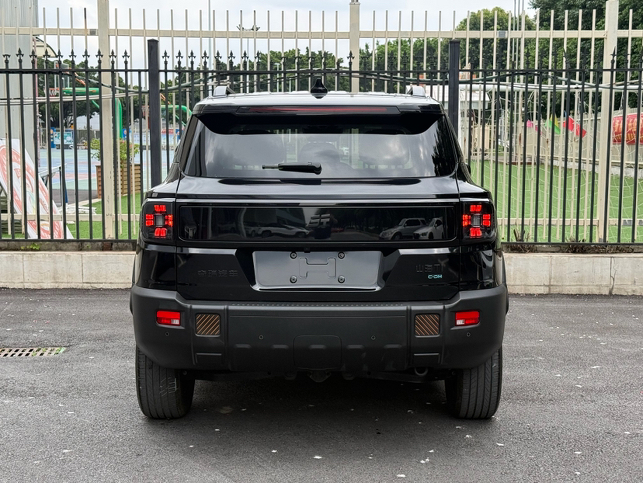 Shanhai T1 2024 150km photo 2