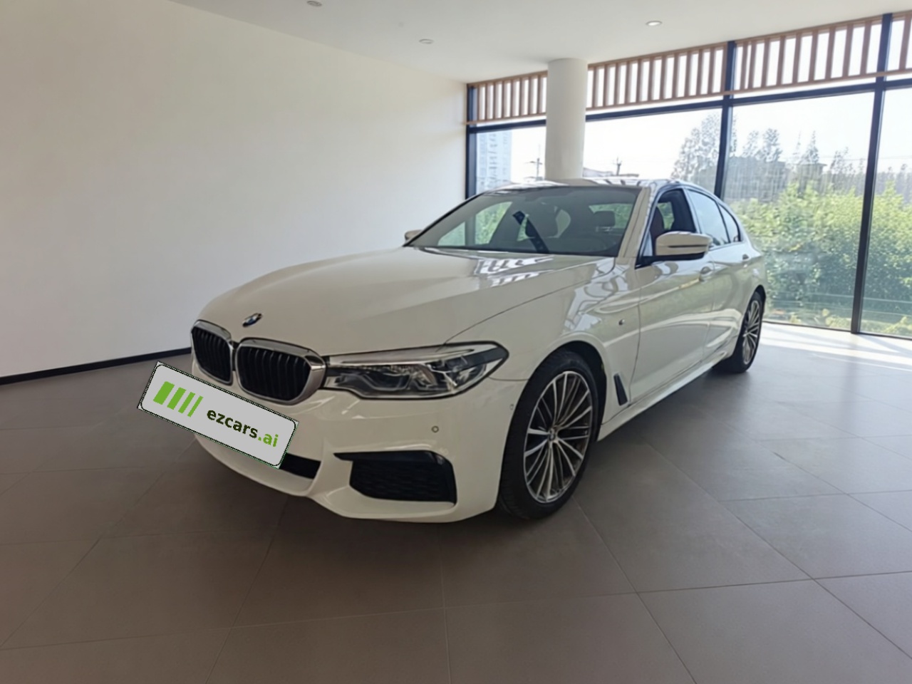 5 Series Imported 2019 Facelift 530i M Sport Package