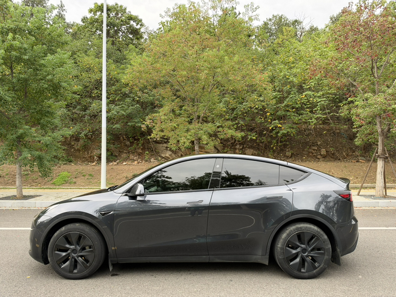 Model Y 2024 RWD photo 5