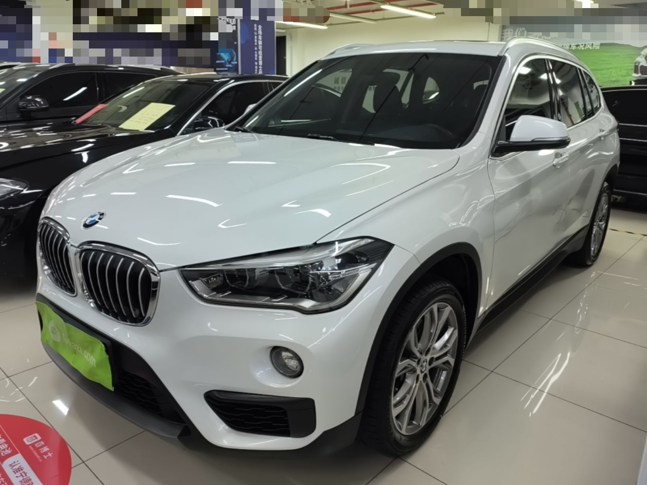 X1 2019 sDrive20Li Leading