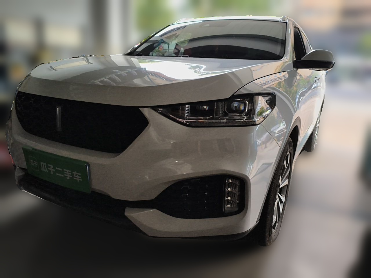 VV6 2018 2.0T RWD Flagship China V