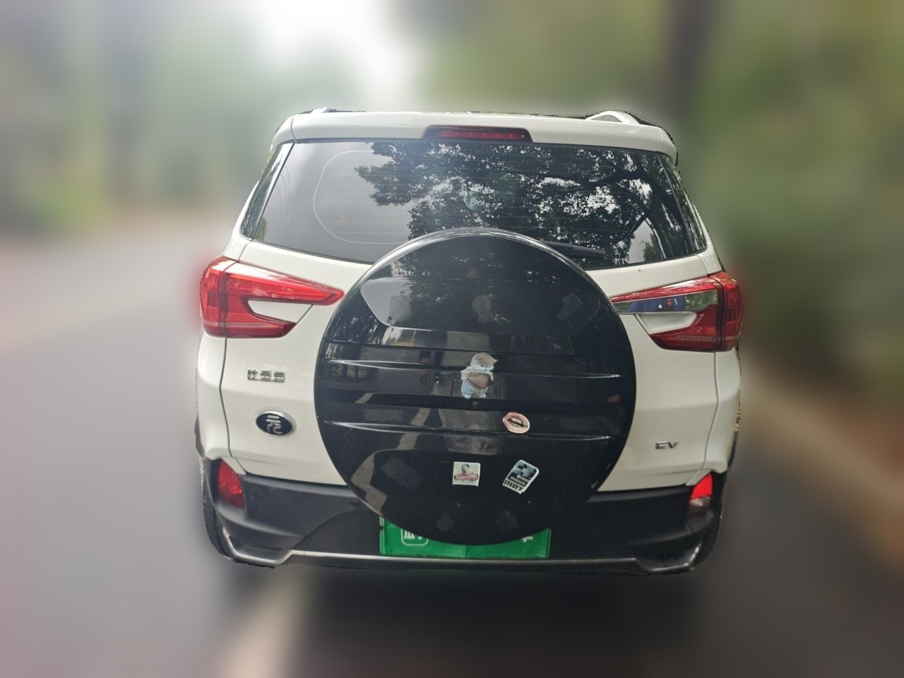 Yuan EV 2019 EV535 Pilot photo 5