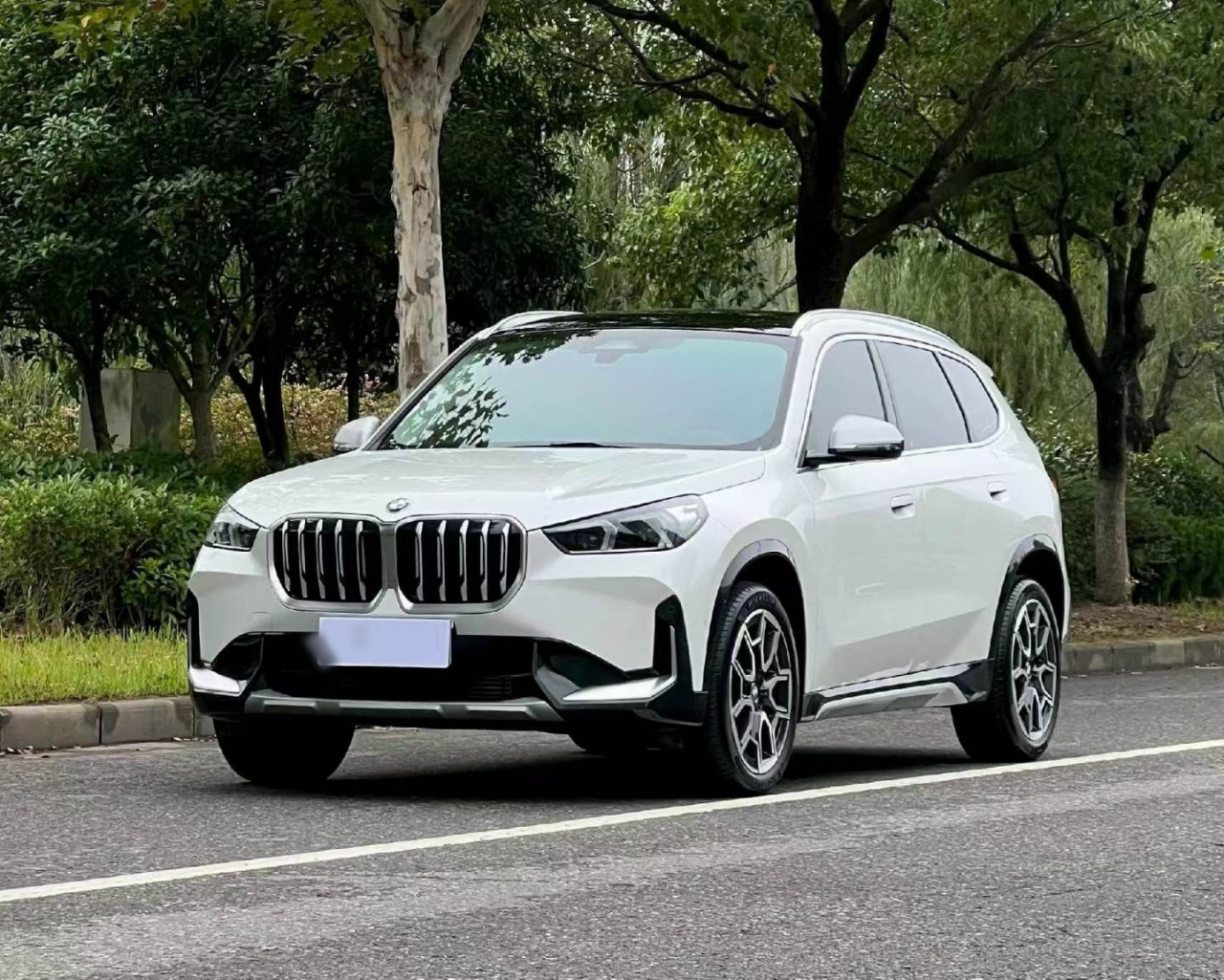 X1 2023 sDrive25Li X Design Package