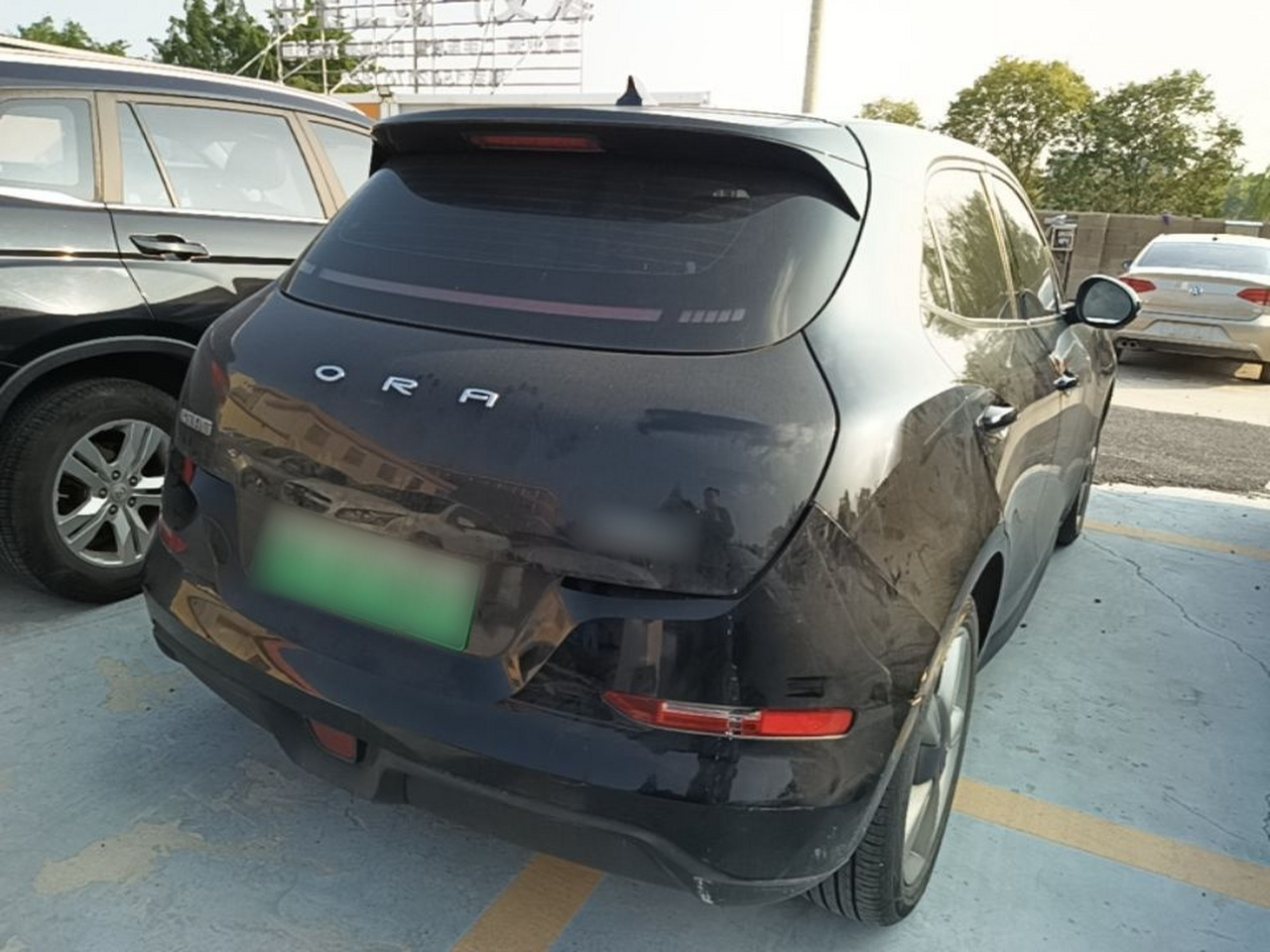Good Cat 2022 400km Standard Range Premium LFP photo 4