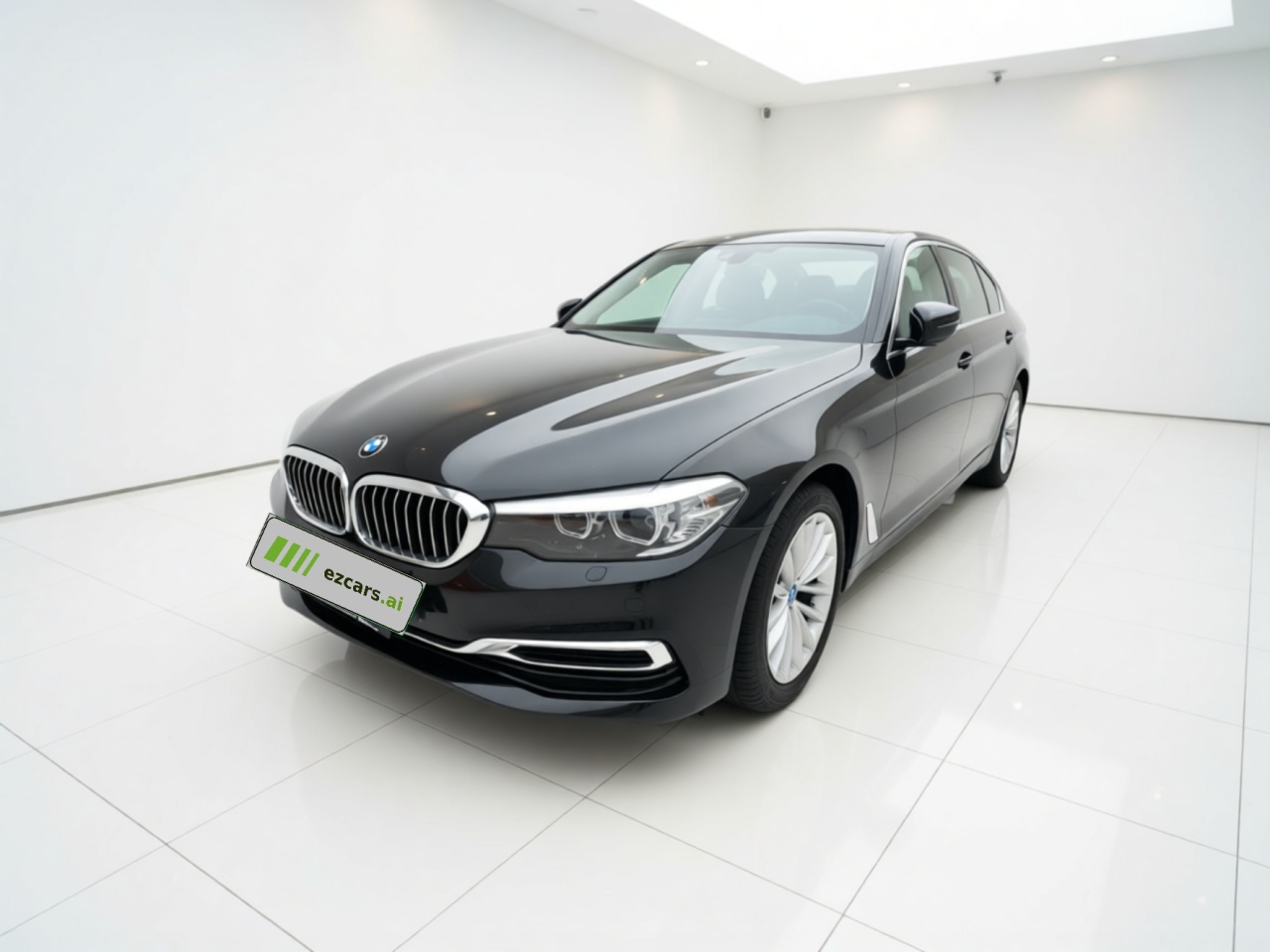 5 Series 2019 525Li Luxury