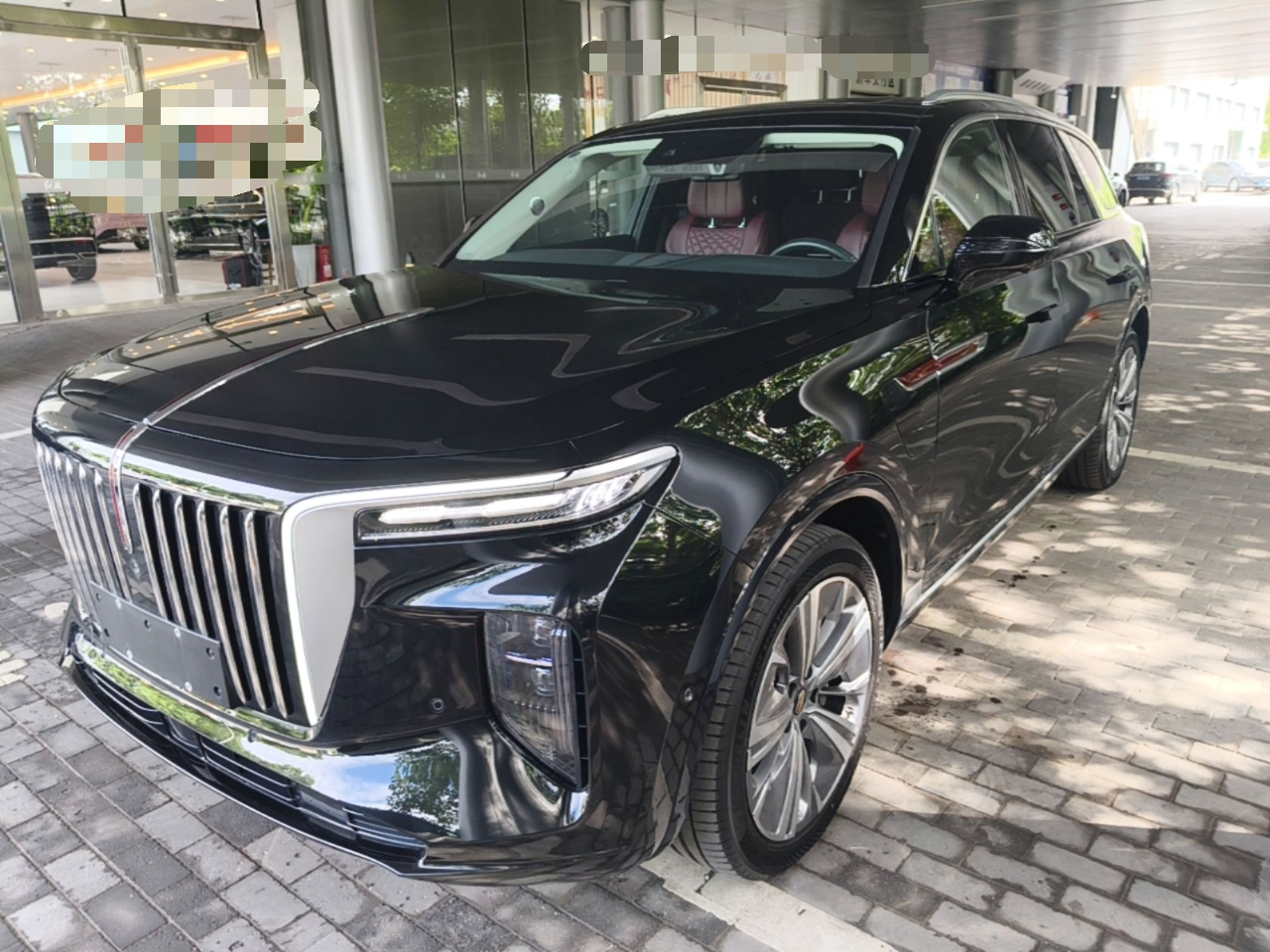 E-HS9 2022 690km 6-Seater