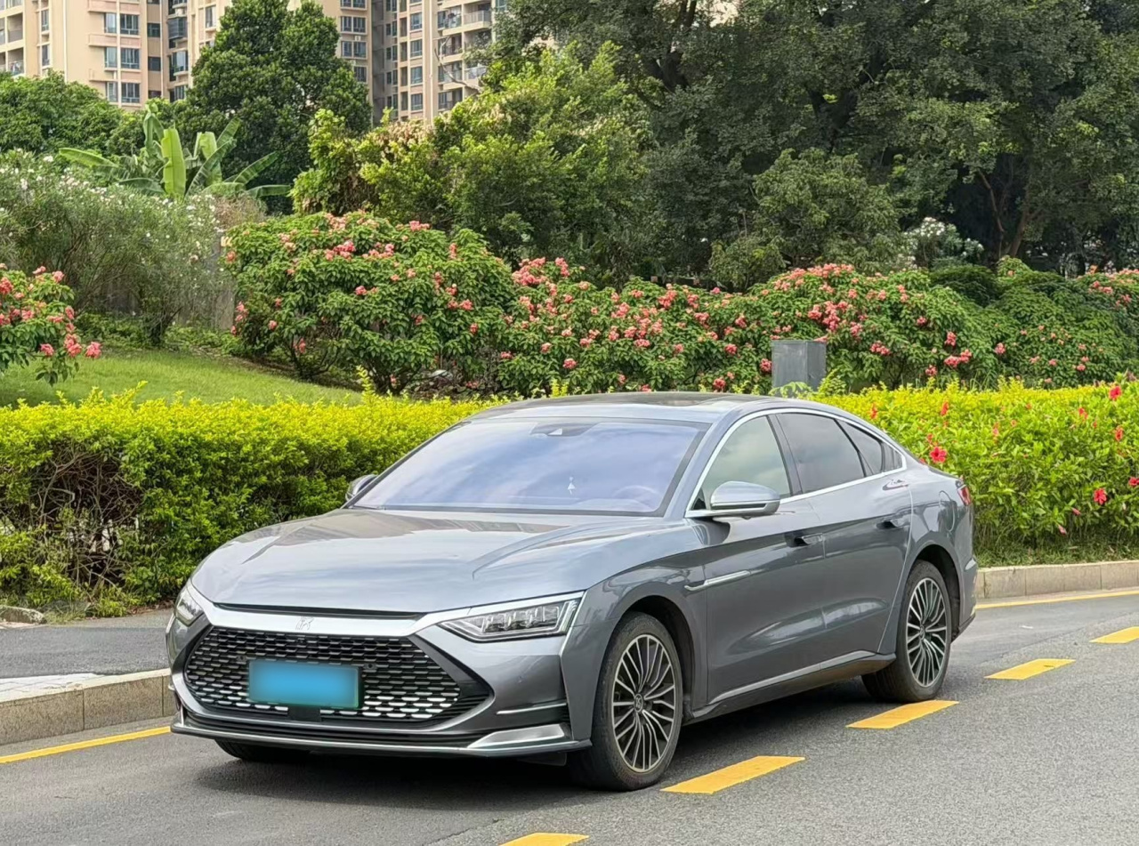 Han 2020 DM AWD Performance Luxury