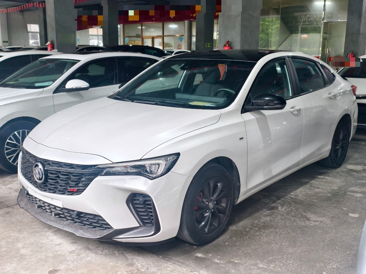 Verano 2023 Pro GS