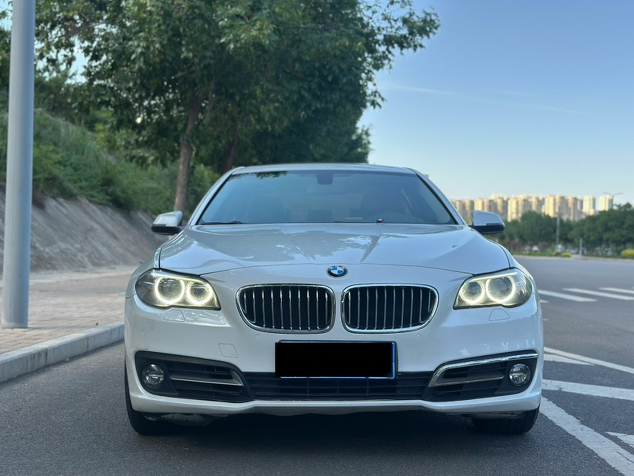 5 Series 2014 520Li photo 2