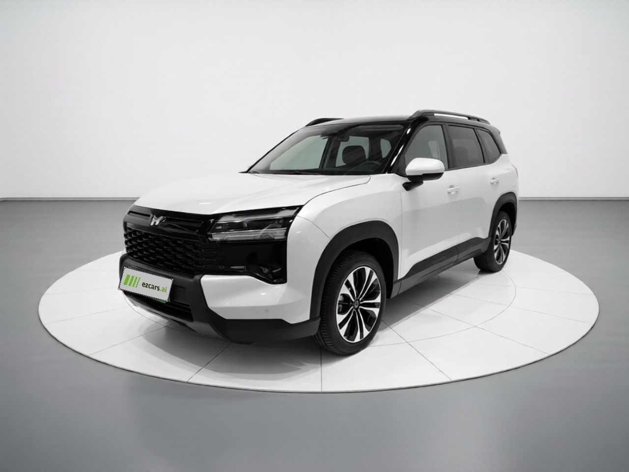560 EV 2026 125km Luxury